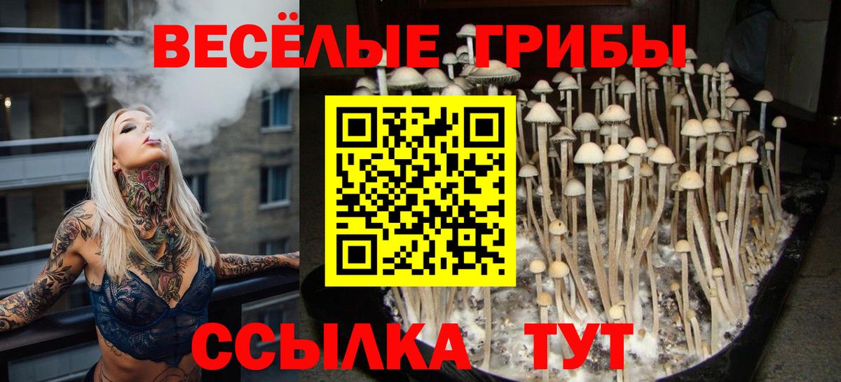 Нижний Новгород  Псилоцибиновые грибы ЛСД  что такое наркотик  Вход с VPN 